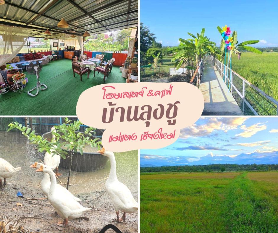 Baanlungchuhomestay&cafe Homestay *