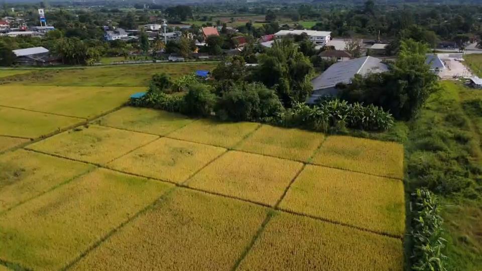 Homestay Baanlungchuhomestay&cafe