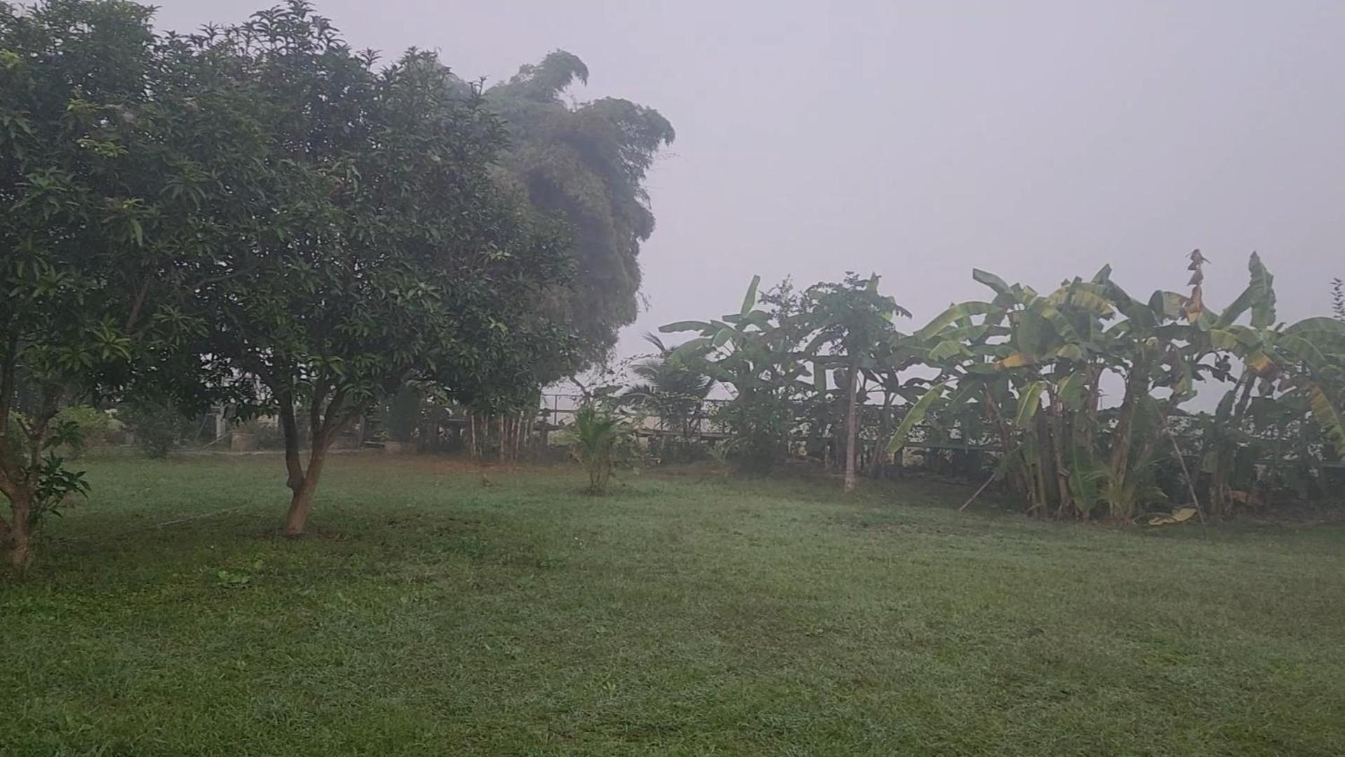 Baanlungchuhomestay&cafe Mae Taeng
